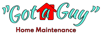 Got a guy site logo